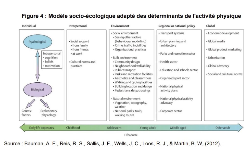 Pratiques d’activité physique : influence de la personnalité et des facteurs individuels  16