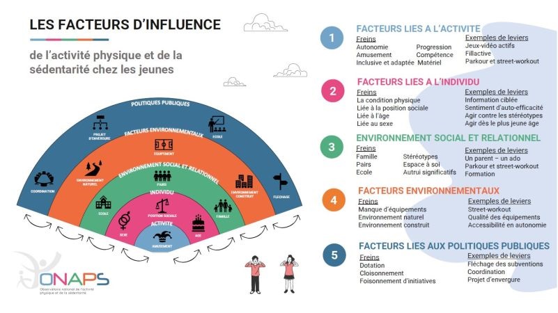 Pratiques d’activité physique : influence de la personnalité et des facteurs individuels  16