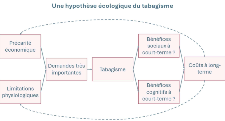 Avons-nous évolué pour fumer ? Analyse grâce à l'écologie comportementale 3 Avons-nous évolué pour fumer ? Analyse grâce à l'écologie comportementale 22