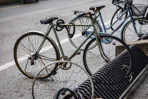 leonqueen1-bicycle-6845768
