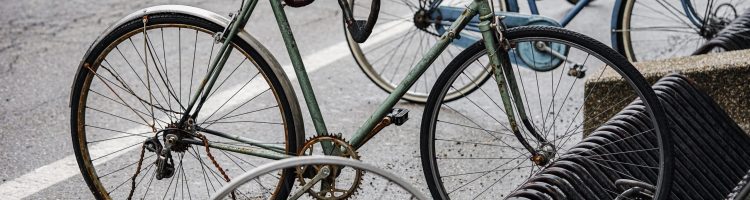 leonqueen1-bicycle-6845768